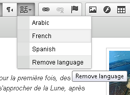 remove language option